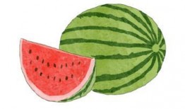 吃瓜花样大全视频,花样吃瓜大全视频深度解析