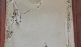 烟店吃瓜视频大全最新版,最新版趣味集锦，笑料横生，不容错过！