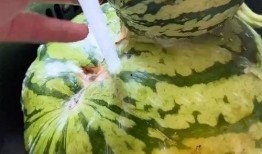 吃瓜搞笑声音视频大全,笑翻天！吃瓜搞笑声音视频大盘点