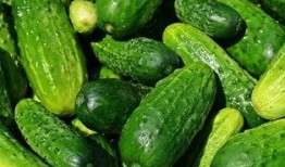 河边吃瓜视频素材下载,揭秘夏日街头趣味瞬间