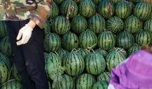 河南鹿邑吃瓜事件视频,一场网络热议的街头冲突