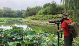 鹤壁公园吃瓜视频,一场引发网友热议的街头奇观