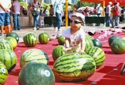 河南鹿邑吃瓜事件视频,一场网络热议的街头冲突