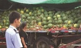 安溪吃瓜事件视频最新,一场网络热议背后的真相揭秘