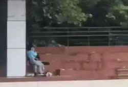 德州学院吃瓜视频,揭秘校园生活趣味瞬间