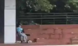 德州学院吃瓜视频,揭秘校园生活趣味瞬间