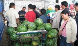 河南鹿邑吃瓜事件视频,一场网络热议的街头冲突