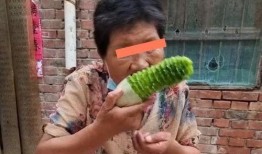 河南豪哥吃瓜视频,揭秘娱乐圈幕后故事