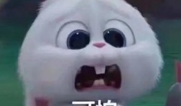 上海热门吃瓜事件真相视频,真相视频曝光背后的真相