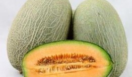 吃哈密瓜的帅哥视频,甜蜜瞬间，尽享视觉盛宴