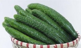 吃瓜梗的由来视频讲解大全,视频讲解大全深度解析